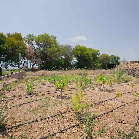Casa Wayra Granadilla De Abona